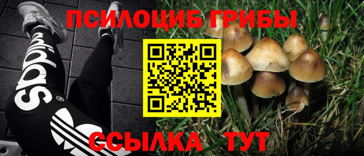 Псилоцибиновые грибы MAGIC MUSHROOMS  Вход с VPN  Черняховск 