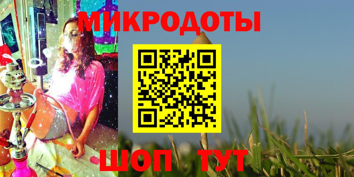 Псилоцибиновые грибы Psilocybe Черняховск